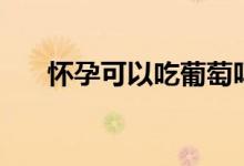 懷孕可以吃葡萄嗎（葡萄的營養(yǎng)價(jià)值）
