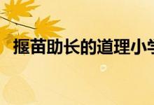 揠苗助長的道理小學生（揠苗助長的道理）