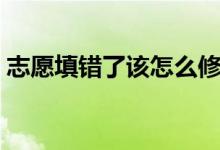 志愿填錯(cuò)了該怎么修改（填錯(cuò)志愿了怎么辦）