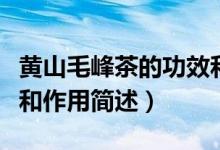 黃山毛峰茶的功效和作用（黃山毛峰茶的功效和作用簡(jiǎn)述）