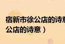 宿新市徐公店的詩意表達什么感情（宿新市徐公店的詩意）