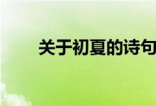 關(guān)于初夏的詩句（初夏的詩句大全）
