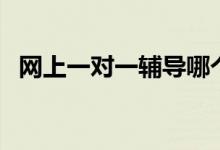 網(wǎng)上一對一輔導(dǎo)哪個平臺靠譜（怎么選擇）