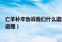 亡羊補牢告訴我們什么道理四個字（亡羊補牢告訴我們什么道理）