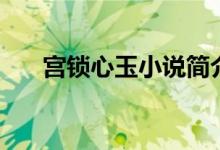 宮鎖心玉小說簡介（講述了什么故事）