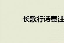 長(zhǎng)歌行詩意注釋（長(zhǎng)歌行詩意）