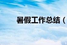 暑假工作總結(jié)（暑期工作實(shí)踐總結(jié)）