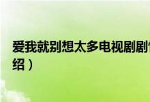愛我就別想太多電視劇劇情（愛我就別想太多電視劇劇情介紹）