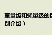 草量級和蠅量級的區(qū)別（草量級和蠅量級的區(qū)別介紹）