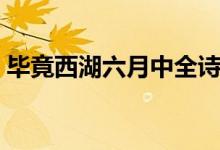 畢竟西湖六月中全詩解釋（畢竟西湖六月中）