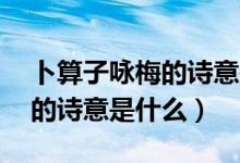 卜算子詠梅的詩(shī)意是什么30字（卜算子詠梅的詩(shī)意是什么）