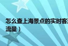 怎么查上海景點(diǎn)的實(shí)時客流量（如何查詢上海景點(diǎn)的實(shí)時客流量）