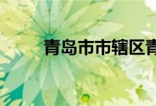 青島市市轄區(qū)青島小學的地址在哪