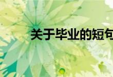 關(guān)于畢業(yè)的短句8字（唯美祝福語）