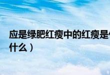 應(yīng)是綠肥紅瘦中的紅瘦是什么（應(yīng)是綠肥紅瘦里紅瘦指的是什么）
