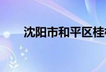 沈陽(yáng)市和平區(qū)桂林街小學(xué)的地址在哪