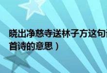 曉出凈慈寺送林子方這句話的意思（曉出凈慈寺送林子方這首詩(shī)的意思）