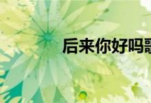 后來你好嗎歌詞（歌手簡介）