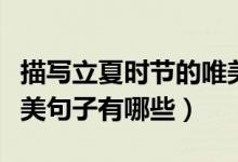 描寫立夏時節(jié)的唯美句子（描寫立夏時節(jié)的唯美句子有哪些）