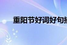 重陽節(jié)好詞好句摘抄（祝福語八個(gè)字）