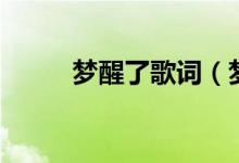 夢醒了歌詞（夢醒了歌詞是什么）