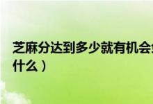 芝麻分達(dá)到多少就有機(jī)會免押金使用神州租車（神州租車是什么）