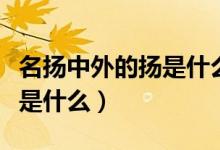 名揚中外的揚是什么意思（名揚中外的揚意思是什么）