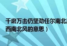 千磨萬擊仍堅勁任爾南北風(fēng)的意思（千磨萬擊還堅勁任爾東西南北風(fēng)的意思）