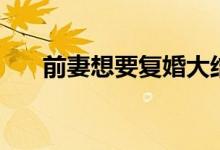 前妻想要復(fù)婚大結(jié)局（一起來看看吧）