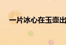 一片冰心在玉壺出自哪首詩（作者是誰）