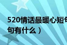 520情話最暖心短句告白（520情話最暖心短句有什么）