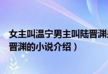 女主叫溫寧男主叫陸晉淵是什么小說（女主叫溫寧男主叫陸晉淵的小說介紹）