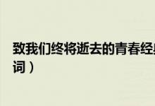 致我們終將逝去的青春經(jīng)典語(yǔ)錄（致我們終將逝去的青春臺(tái)詞）