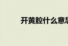 開黃腔什么意思（開黃腔什么梗）