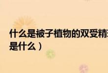 什么是被子植物的雙受精現(xiàn)象（被子植物的雙受精現(xiàn)象指的是什么）