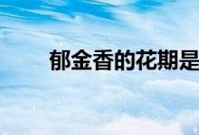 郁金香的花期是多久（原產(chǎn)地在哪）