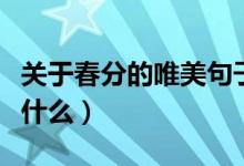 關(guān)于春分的唯美句子（關(guān)于春分的唯美句子有什么）