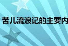 苦兒流浪記的主要內(nèi)容（苦兒流浪記的結(jié)局）