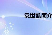袁世凱簡介（袁世凱簡介）