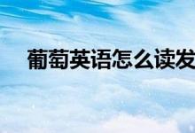 葡萄英語怎么讀發(fā)音（葡萄英語怎么讀）
