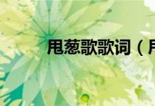 甩蔥歌歌詞（甩蔥歌歌詞是什么）