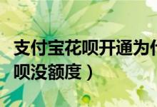 支付寶花唄開通為什么會(huì)沒有額度（為什么花唄沒額度）