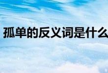 孤單的反義詞是什么（孤單的反義詞及解釋）