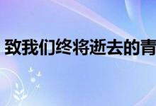 致我們終將逝去的青春觀后感（你有看過嗎）