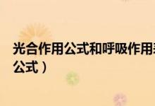 光合作用公式和呼吸作用表達(dá)式（光合作用公式和呼吸作用公式）
