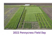 計(jì)劃于5月26日舉行的第三次IPREFER Pennycress野外日