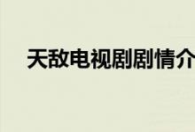 天敵電視劇劇情介紹（該劇是什么故事）