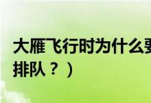 大雁飛行時(shí)為什么要排隊(duì)（大雁飛行時(shí)為啥要排隊(duì)？）