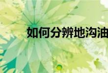 如何分辨地溝油（怎么分辨地溝油）