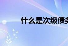 什么是次級(jí)債務(wù)（次級(jí)債務(wù)介紹）